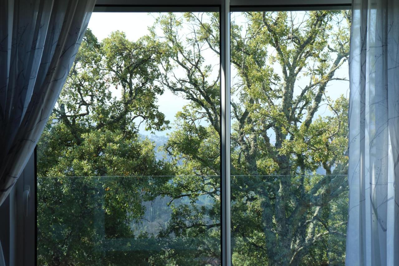 Vilafoia 몬시크 외부 사진